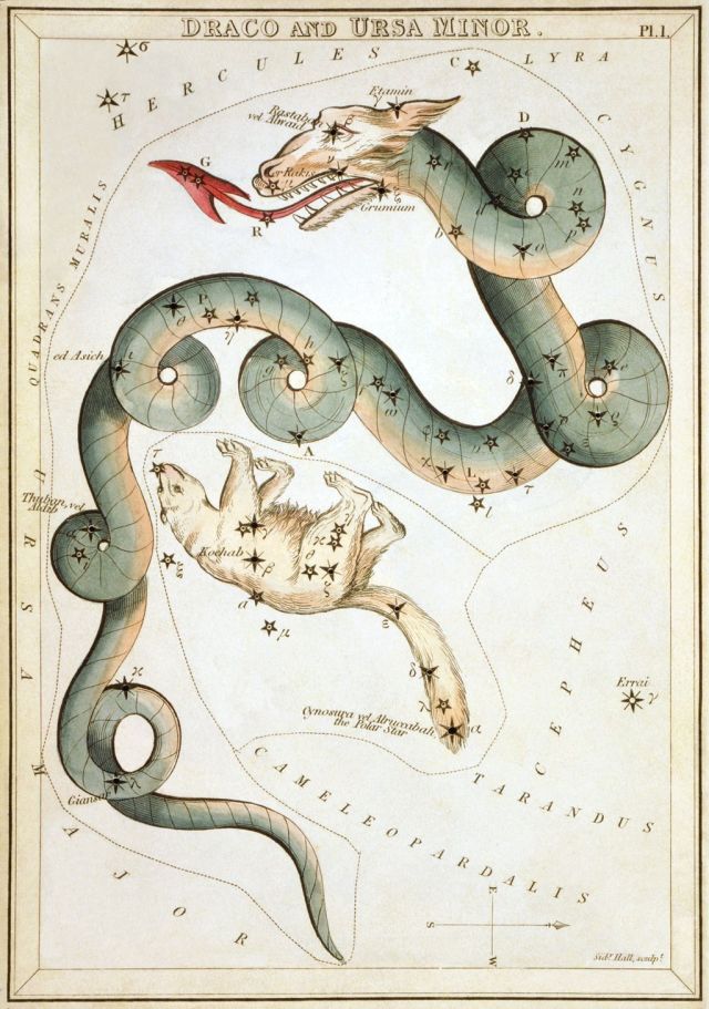 "Draco and Ursa Minor", plate 1 in Urania's Mirror, a set of celestial cards accompanied by A familiar treatise on astronomy ... by Jehoshaphat Aspin. London. Astronomical chart, 1 print on layered paper board : etching, hand-colored, Sidney Hall image from Wikipedia at https://en.wikipedia.org/wiki/Draco_(constellation)#/media/File:Sidney_Hall_-_Urania%27s_Mirror_-_Draco_and_Ursa_Minor.jpg of the plate available from the United States Library of Congress's Prints and Photographs division under the digital ID cph.3g10050.